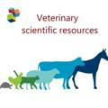 VeterinarySCR
