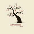 مدرسه ریاضی(سعید بیرامی)