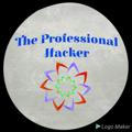 The Professional Hacker