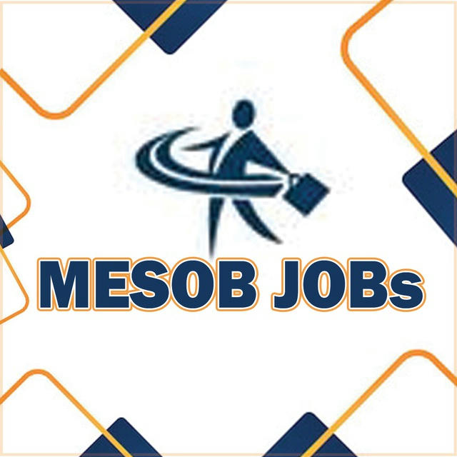 MESOB JOBS PLC