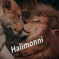 🤤 Halimonni 🤤