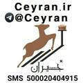 جیران Ceyran