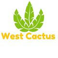 🌵West Cactus🌵