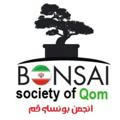 کانال انجمن بونسای قم