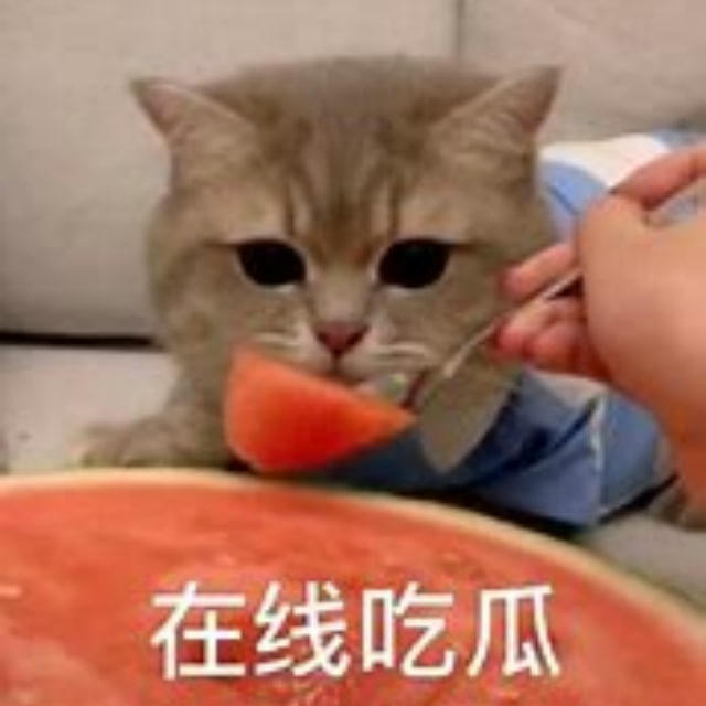 反差|萝莉|少女