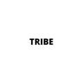 TRIBE letters