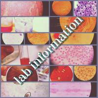 Laboratory Information معلومات مخبرية