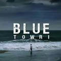 Blue Towri 💙🪽