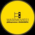 ትርጉም ፊልሞች (Wase Movies1 )