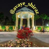 آوای شیراز