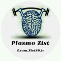 Plasmo | پلاسمو
