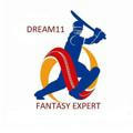 Dream11 Expert