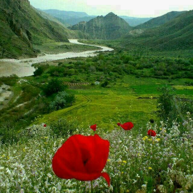 موغانا جئيران کانالى