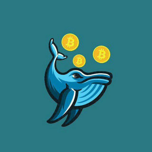 Crypto Whales 🐋
