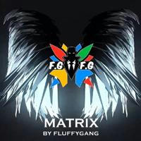 FG | MATRIX