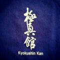 Kyokushin_kan