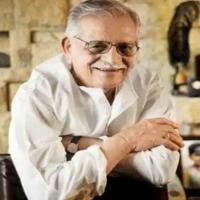 Gulzar Talks ( Hindi Shayari )