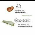 ❤️🌿Rasululloh Ummatlari 🌿❤️