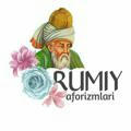 Rumiy Aforizmlari