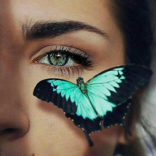 🌸🍃 پروفایل دخترونه 🍃🌸 عکس