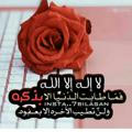 ‏- • رَبيٰ رضّـآگٰ والجَنـہٰ💗🎐•