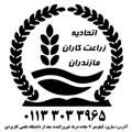 اتحادیه زراعت کاران مازندران