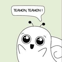 Teamon Skin