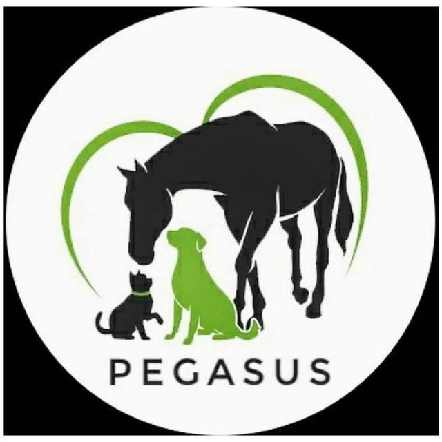 Приют Пегас для лошадей и диких животных Днепр