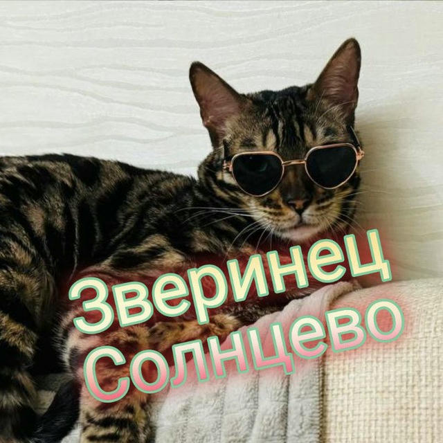 Зверинец Солнцево