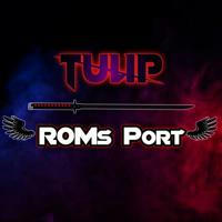 Tulip Roms Port (CHANNEL)