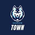 SHADOW TOWN