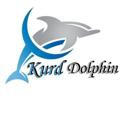 Dolphin_Karton