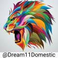 Dream 11 Domestic