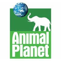 Animal Planet 🐊