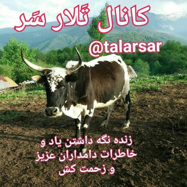 تَلارسَر