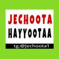 Jechoota Hayyootaa