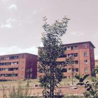 Addis ababa Condominium housing