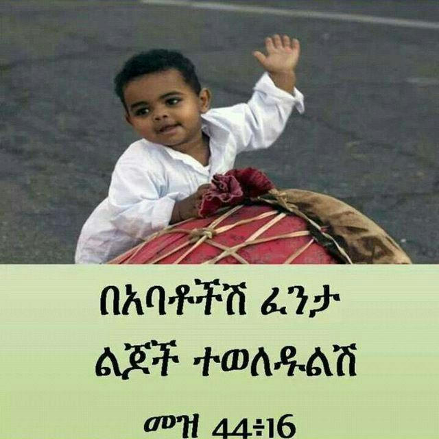 🔵ናታኒም ፕሮሞሽን🔵