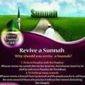 Sunnah Revival Channel