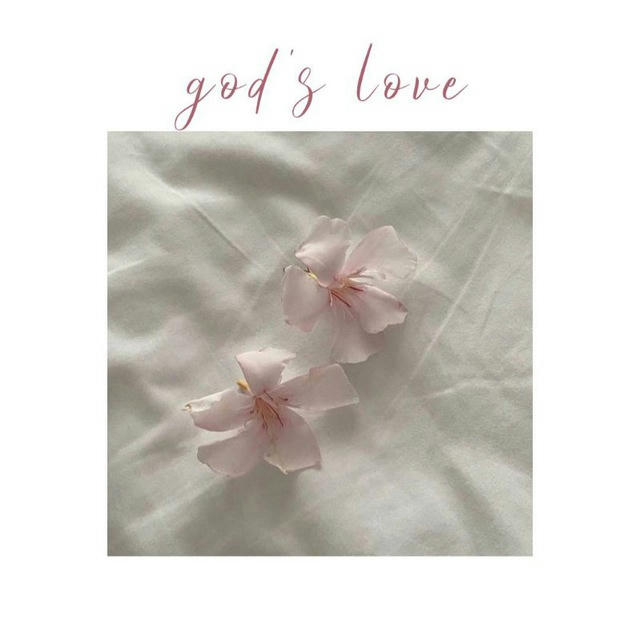 god's love 🤍🪷🕊