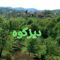 کانال رسمی روستای دیزکوه