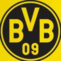 Borussia Dortmund | Borussiya Dortmund 💛🖤