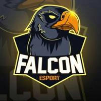 Falcons3Net