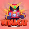 VITAL_CAT|STUDIO|VCS