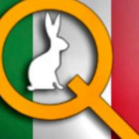 QC Italia 🇮🇹 - NewsFeed