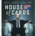 Dubbed In Hindi House of Cards (2013-2018)all seasons hindi