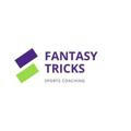 Fantasyticks.com[Baseball & Volleyball]