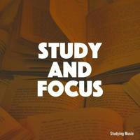 Let's study together✿࿐