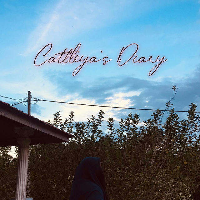 Cattleya’s Diary 🌸✨