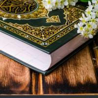 📖 مختصر تفسير وتدبر القرآن الكريم 📖
